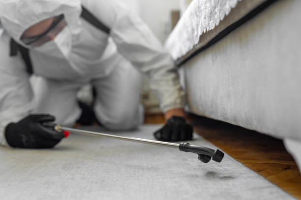 Professional Termite Control technician working in Somerville, NJ