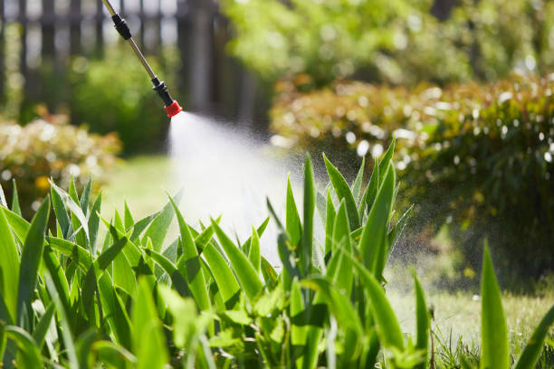 24/7 Emergency Termite Control experts in Somerville, NJ