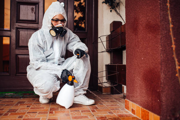 Reliable Termite Control contractor in Somerville, NJ by Nex Pest Control